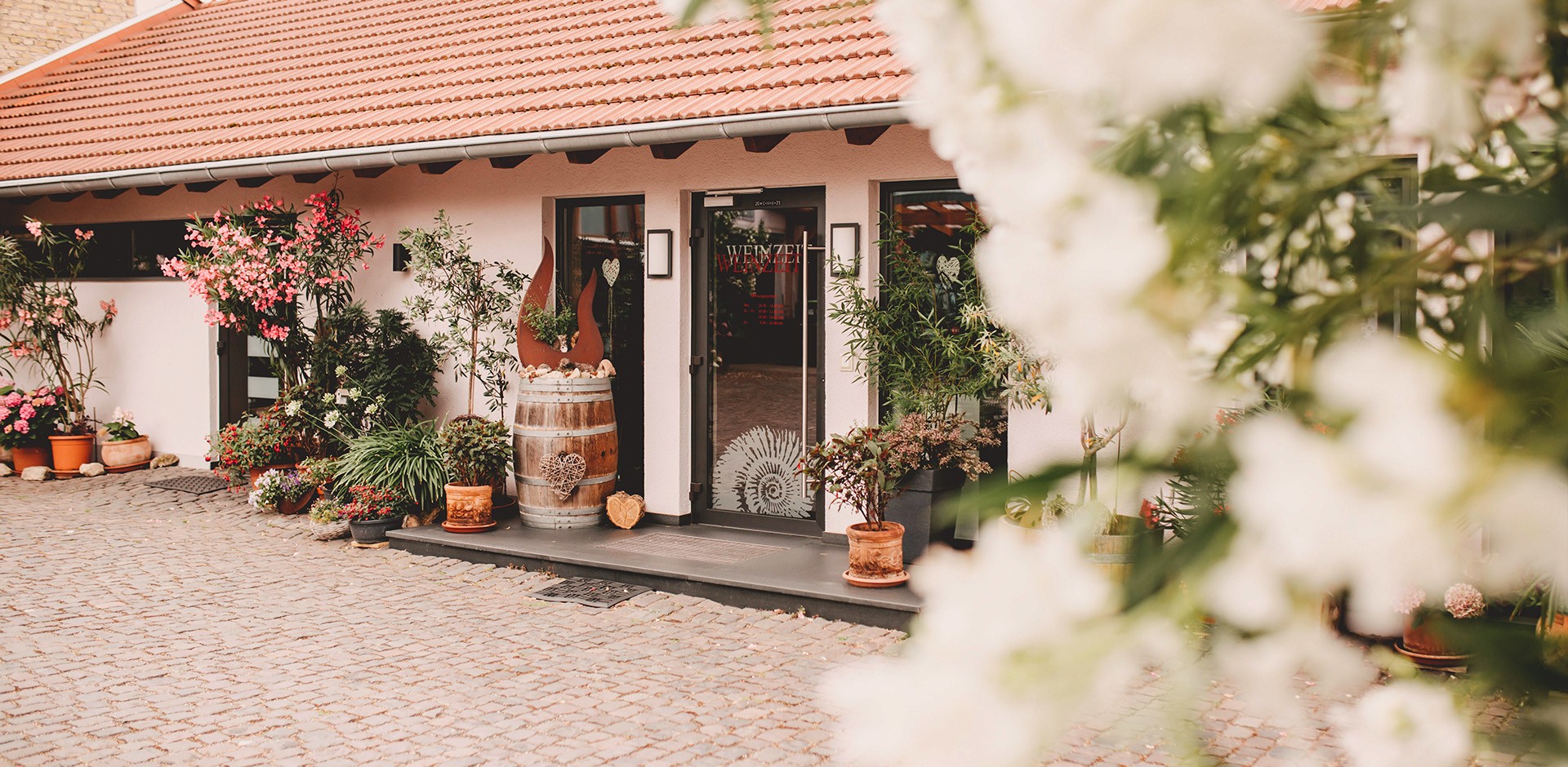 slider_weingut1